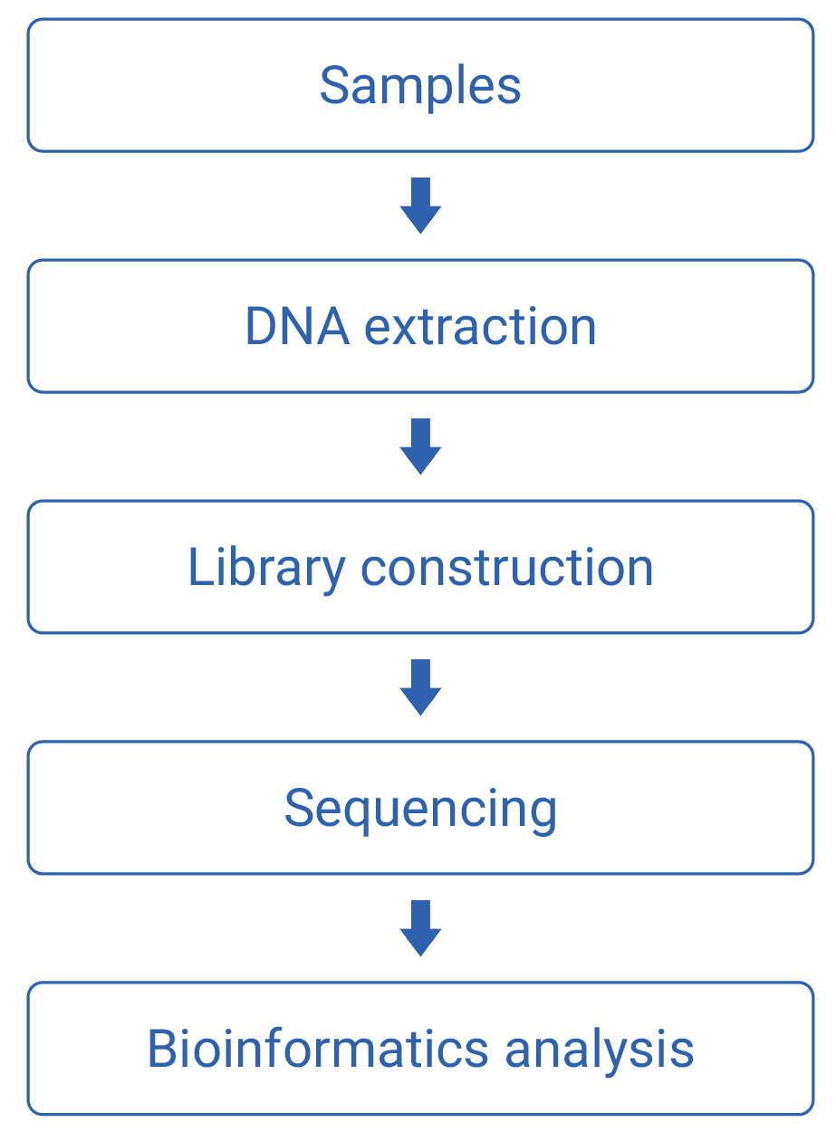 workflow-image