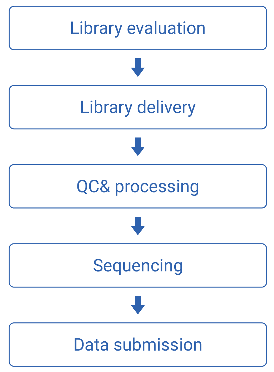 workflow-image
