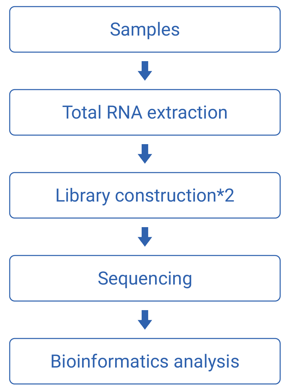 workflow-image
